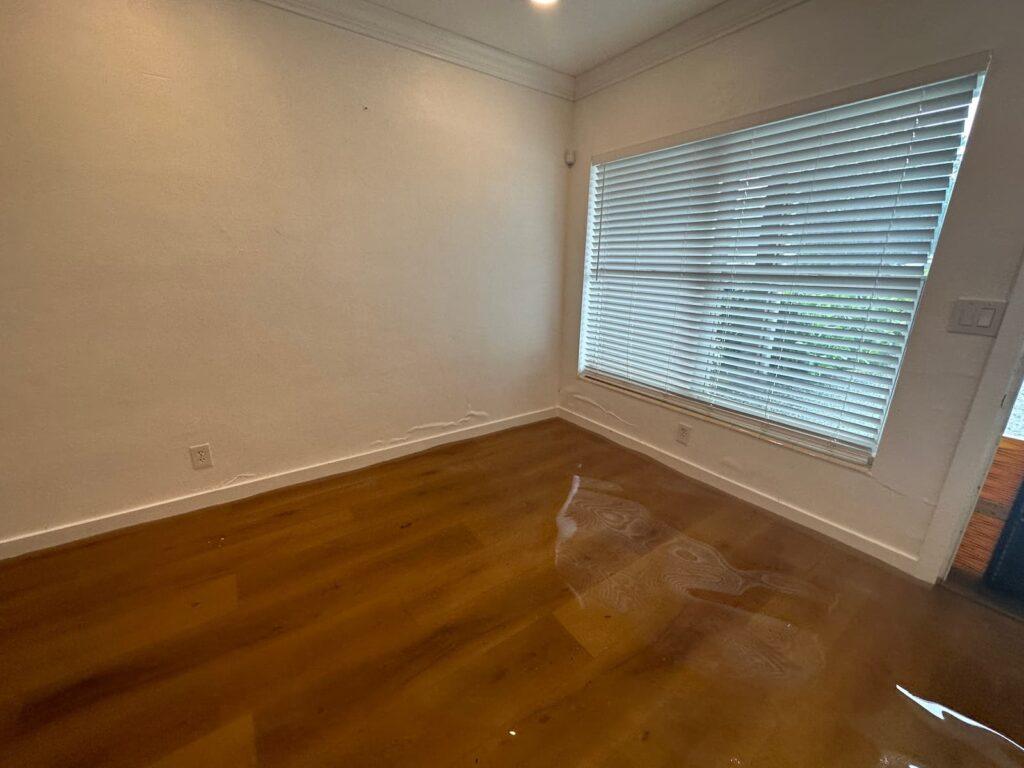 Standing water pooled on a wood floor with drywall damage, highlighting conditions that require emergency mold prevention.